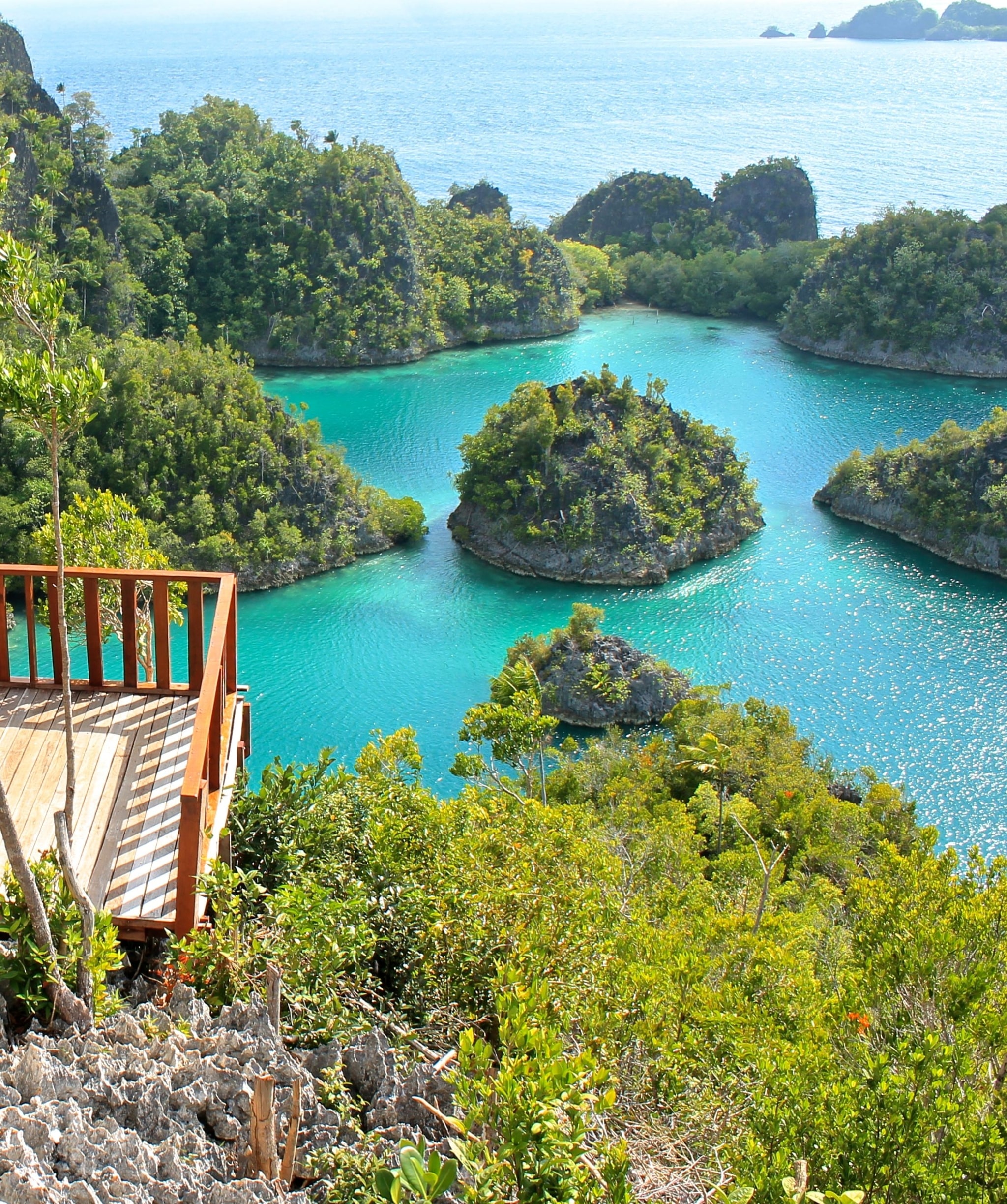 Raja Ampat Fam View