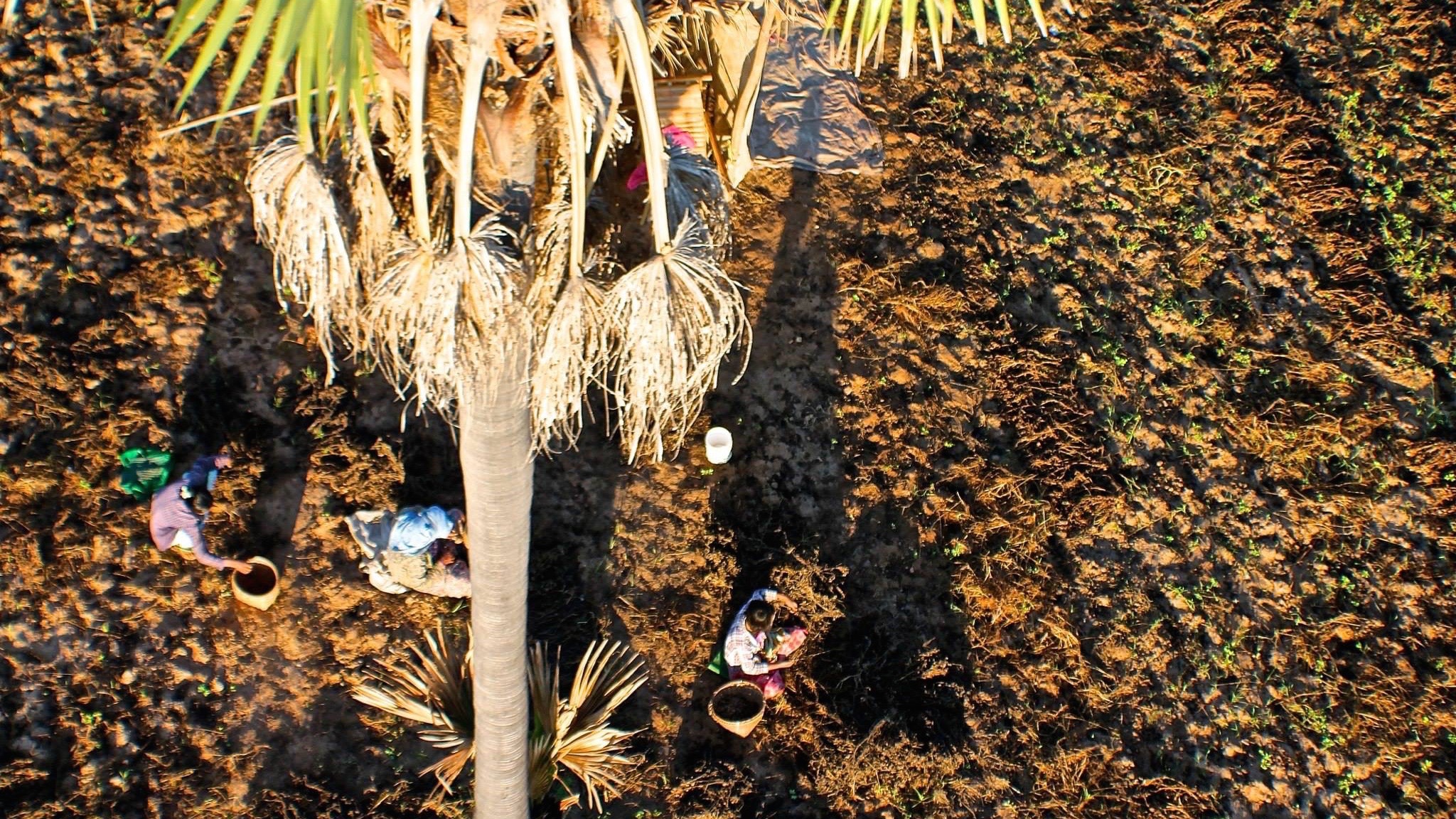Myanmar Workers Photo