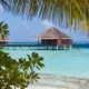 Maldives Honeymoon