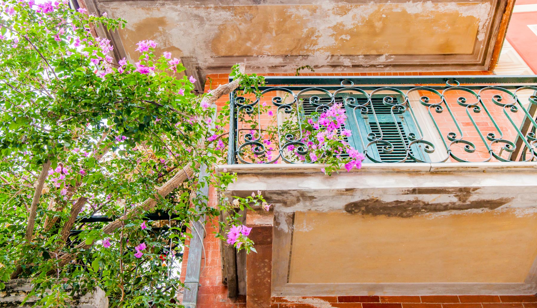 CinqueTerre