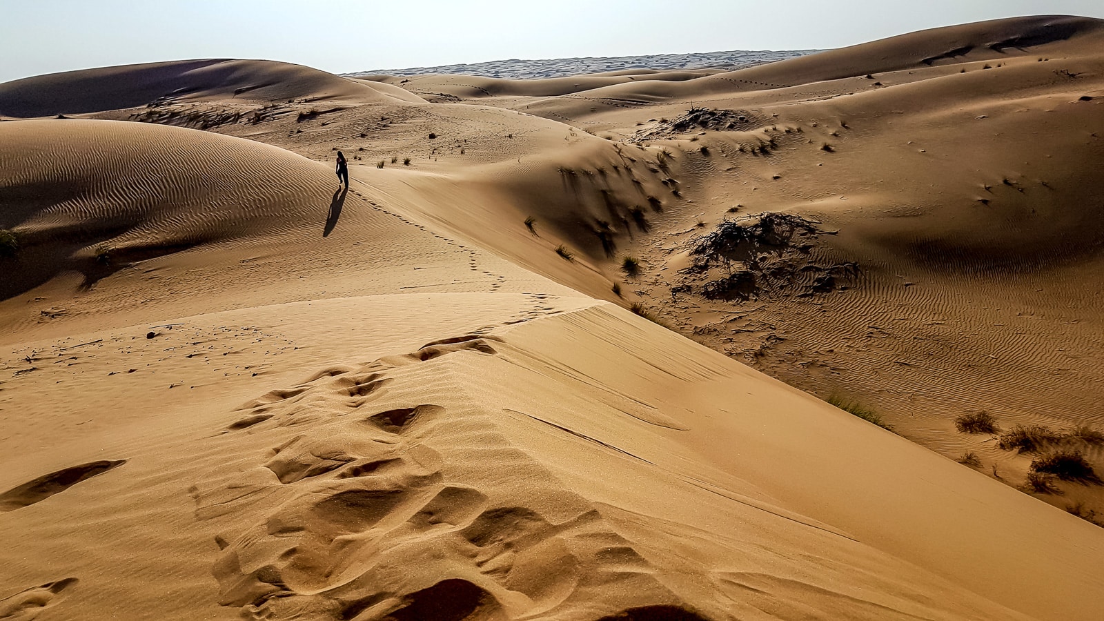 Oman Wahiba Sands