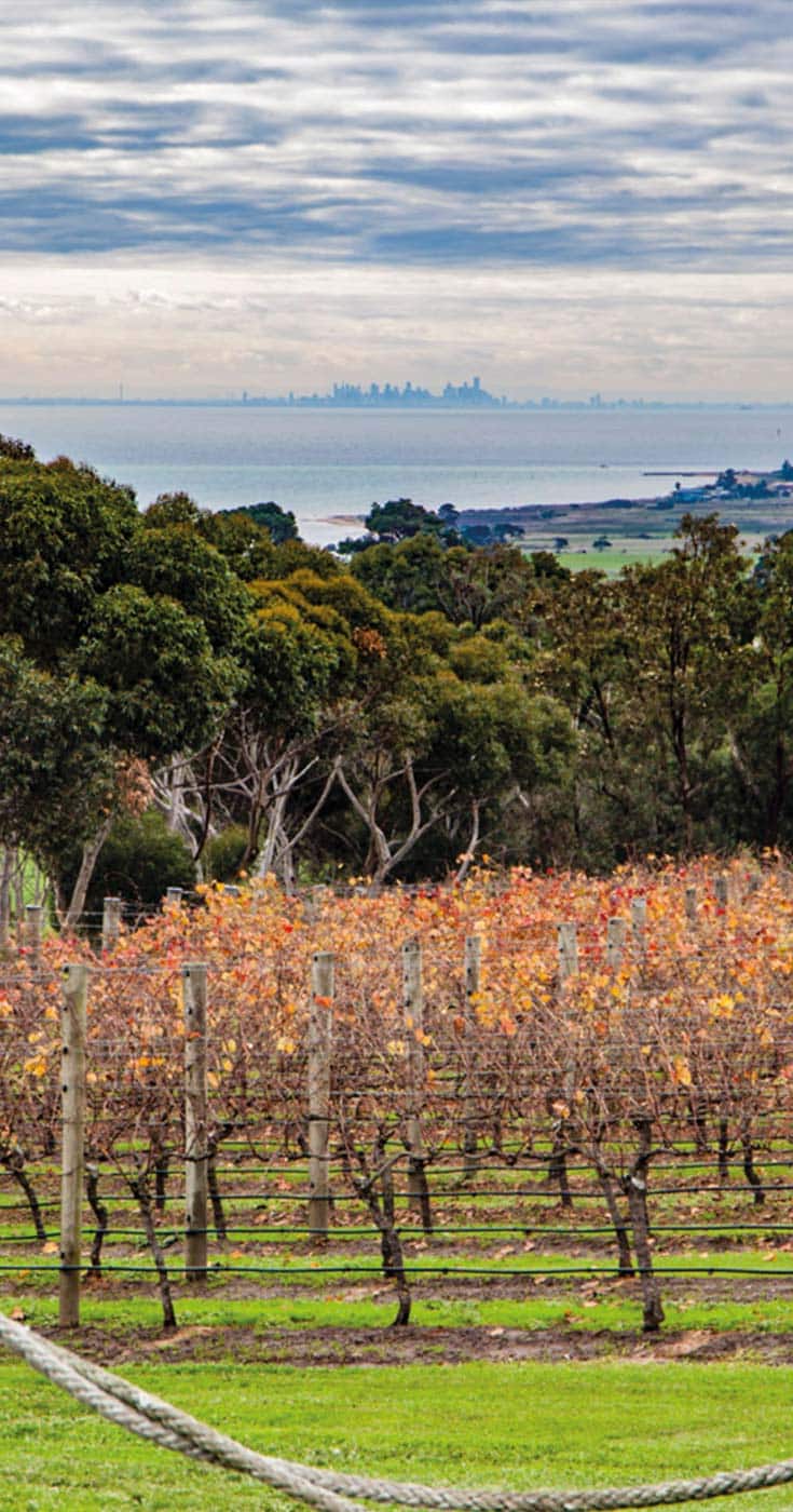 Bellarine Peninsula Wineries