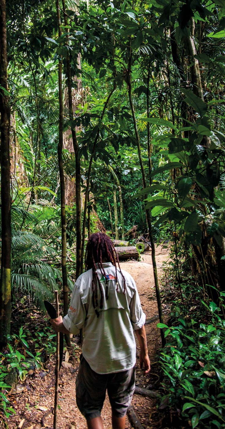 Dreamtime tour mossman gorge