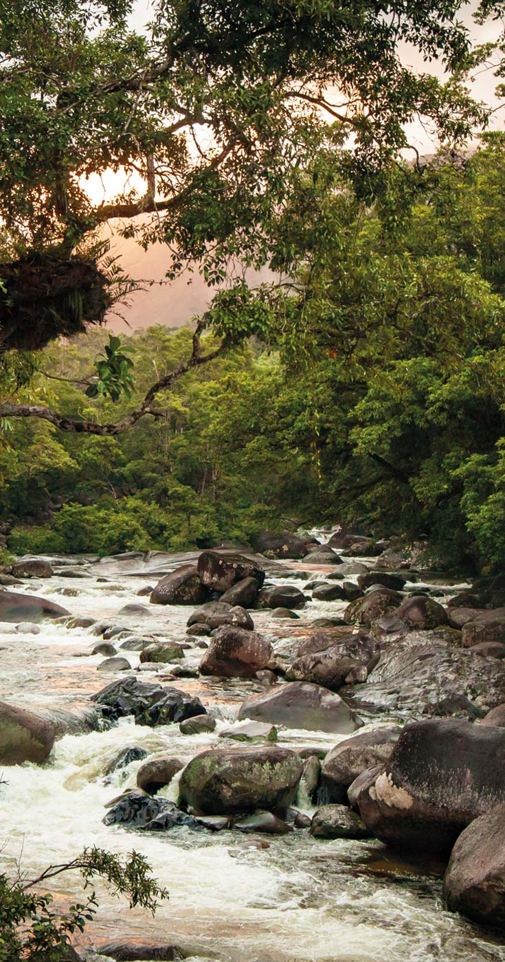 Sunset in Mossman Gorge