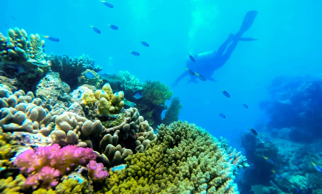 Exploring the Great Barrier reef