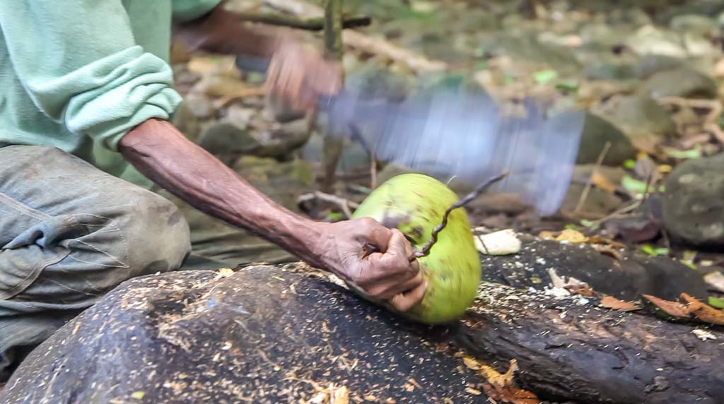 Coconut Mauritius 