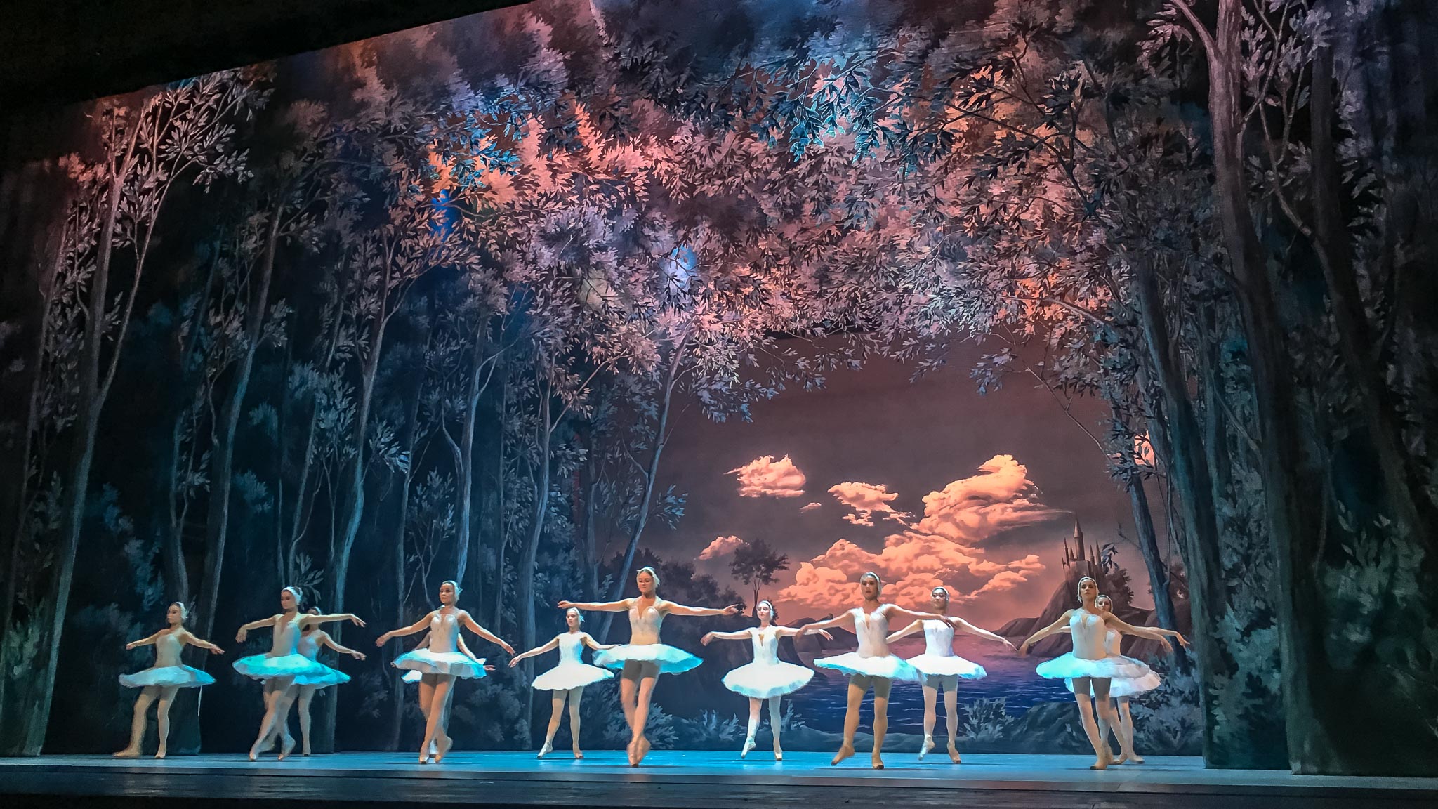 Swan Lake at the Russian Ballet