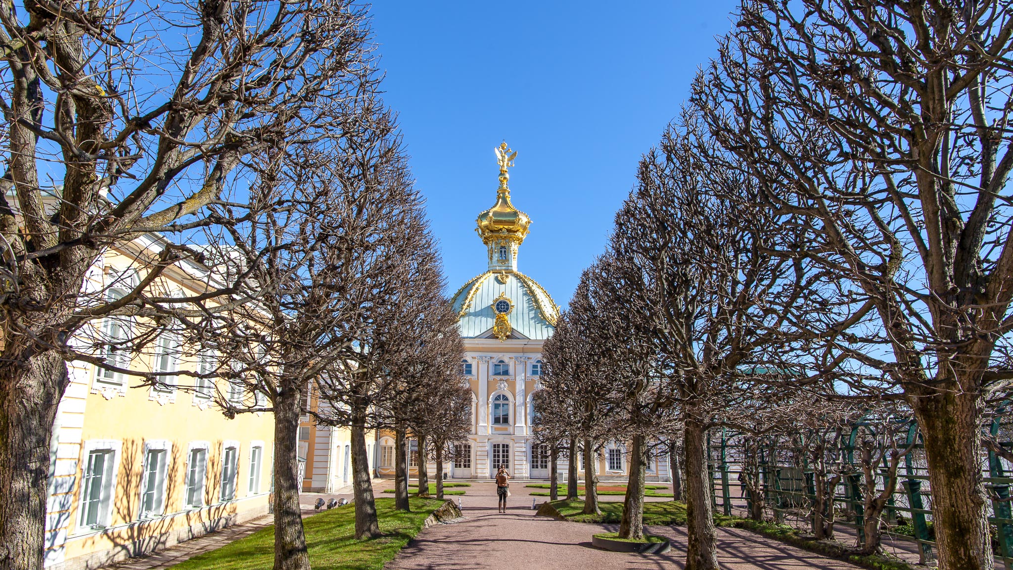 Grand palace st Petersburg
