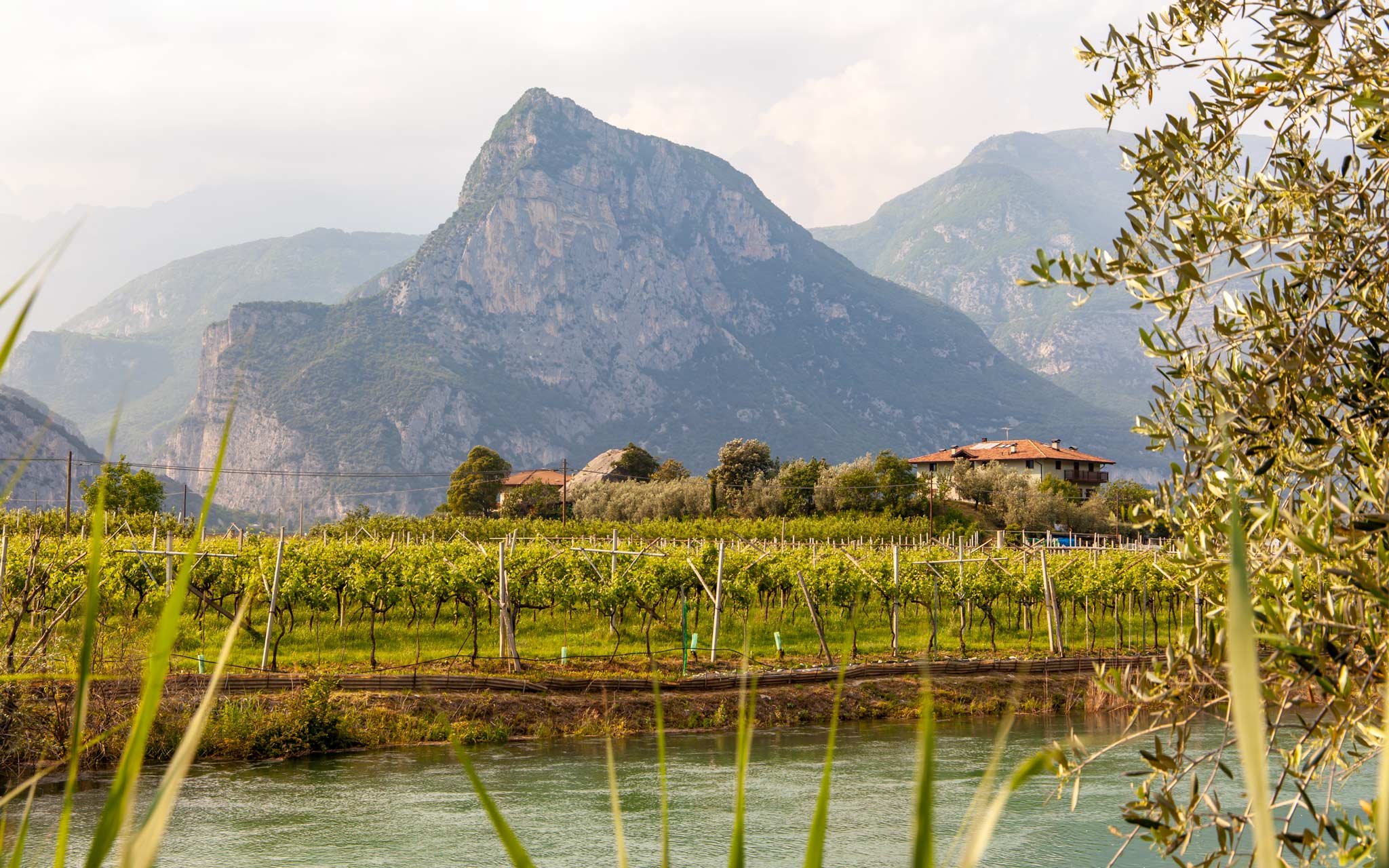 Wine tasting at the Azienda Agricola Fratelli Pisoni