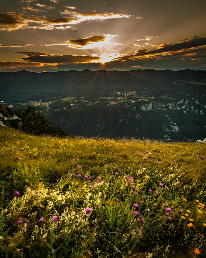 Vipava valley Slovenia