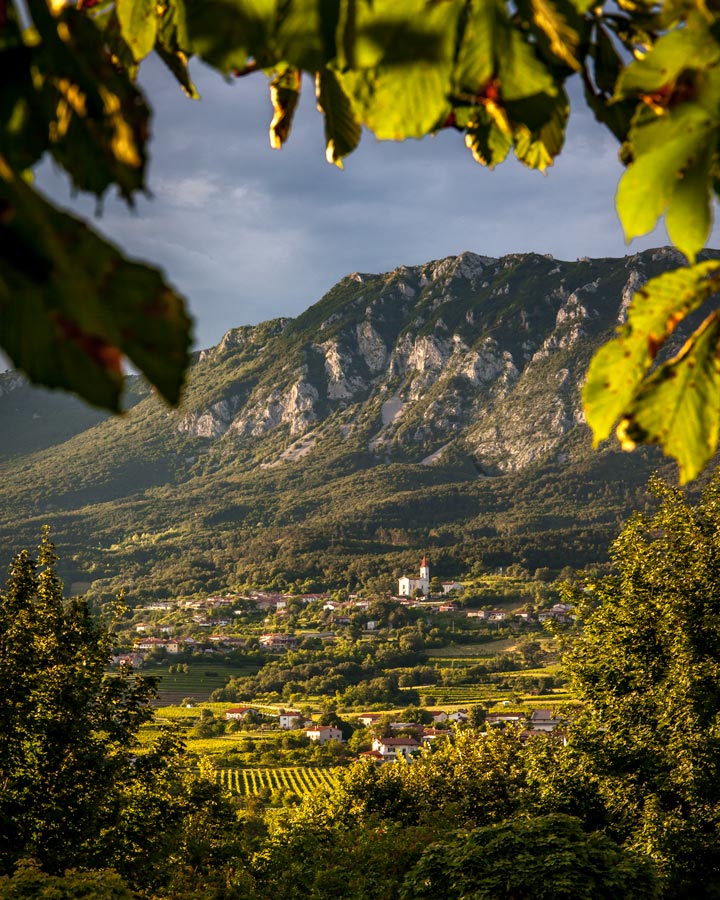 Vipava Valley Slovenia