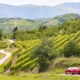 Vipava Valley Slovenia