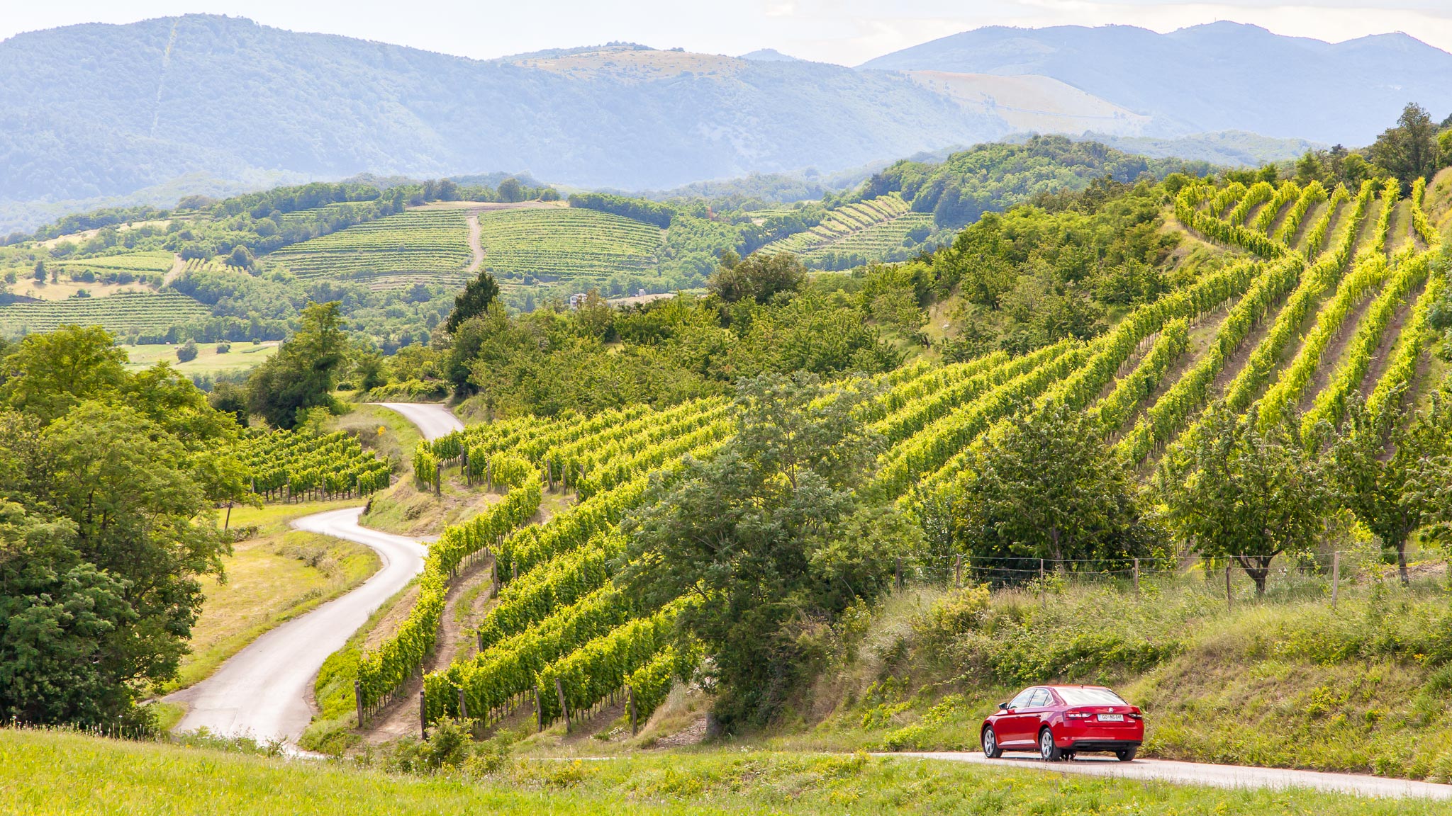 Vipava Valley Slovenia