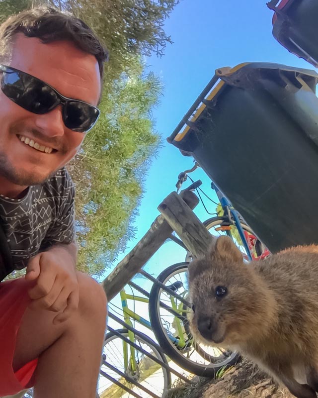 Quokka