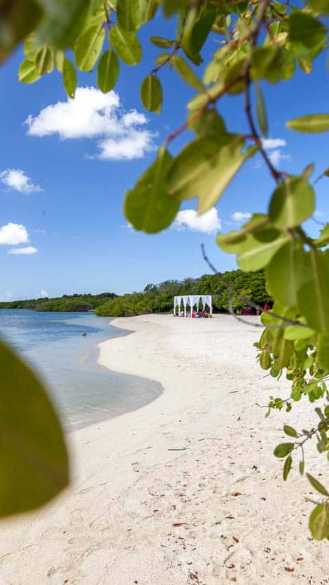 Aruba Beach Dinng