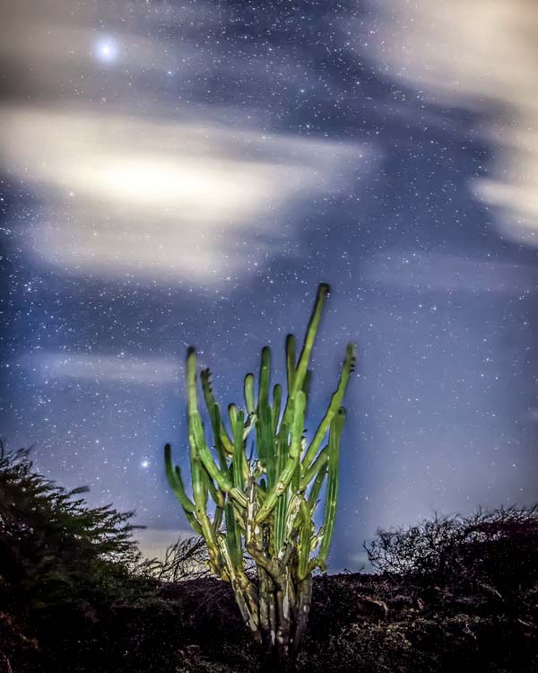 Aruba Stargazing