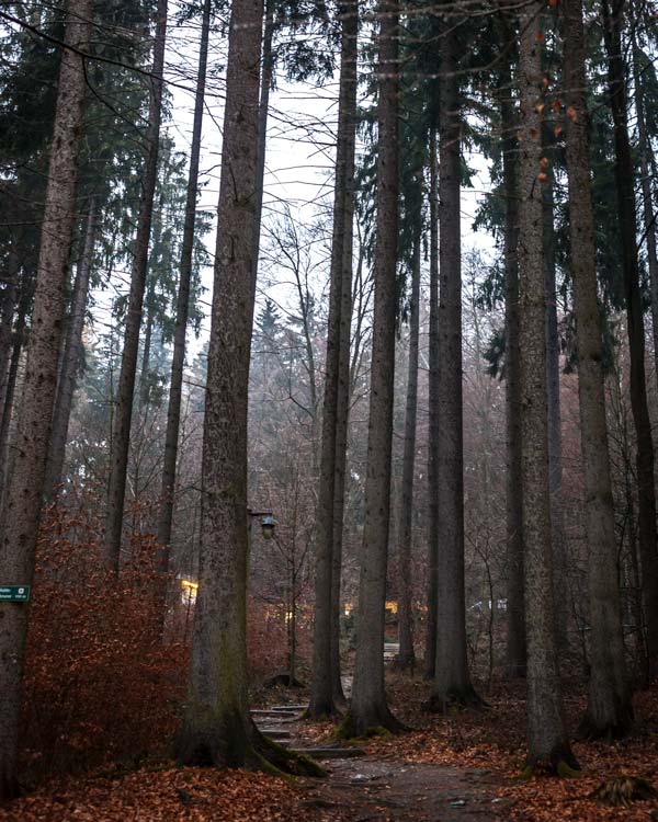 The Herkules-Frisch-Glück Mine is fenced by forest