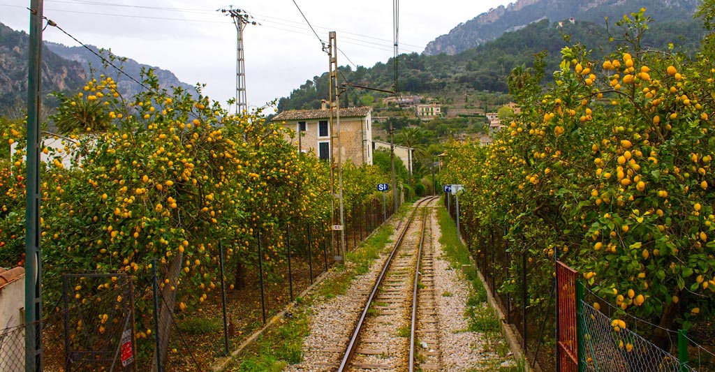 Mallorca Soller Train