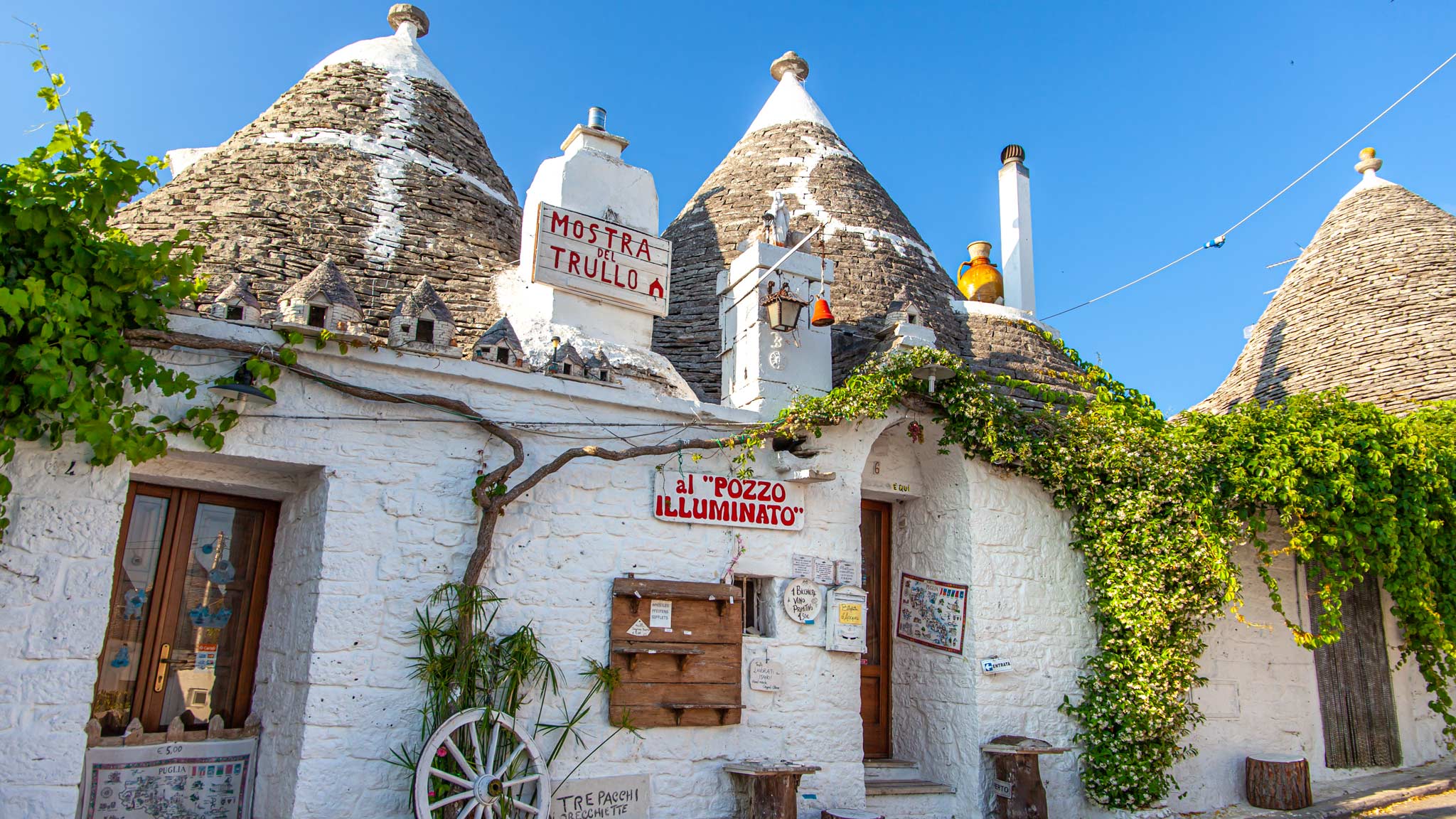 A line of white washed Trullo with conical roofs in Alberobello Puglia