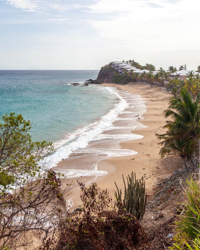 A beach in Antigua