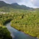 The Indian River as seen from above with the mountains of Dominica in the background