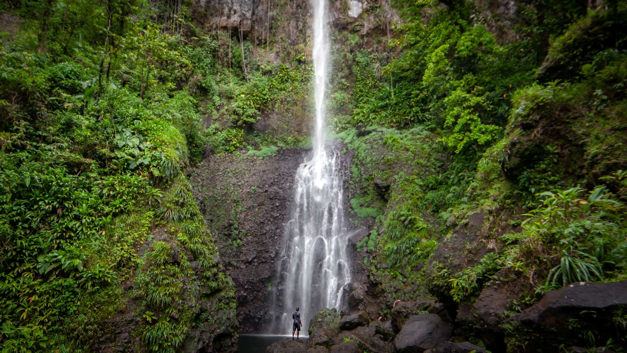 Waterfall crashes down with a man standing in front of the pool and the rainforest of Dominica on either side