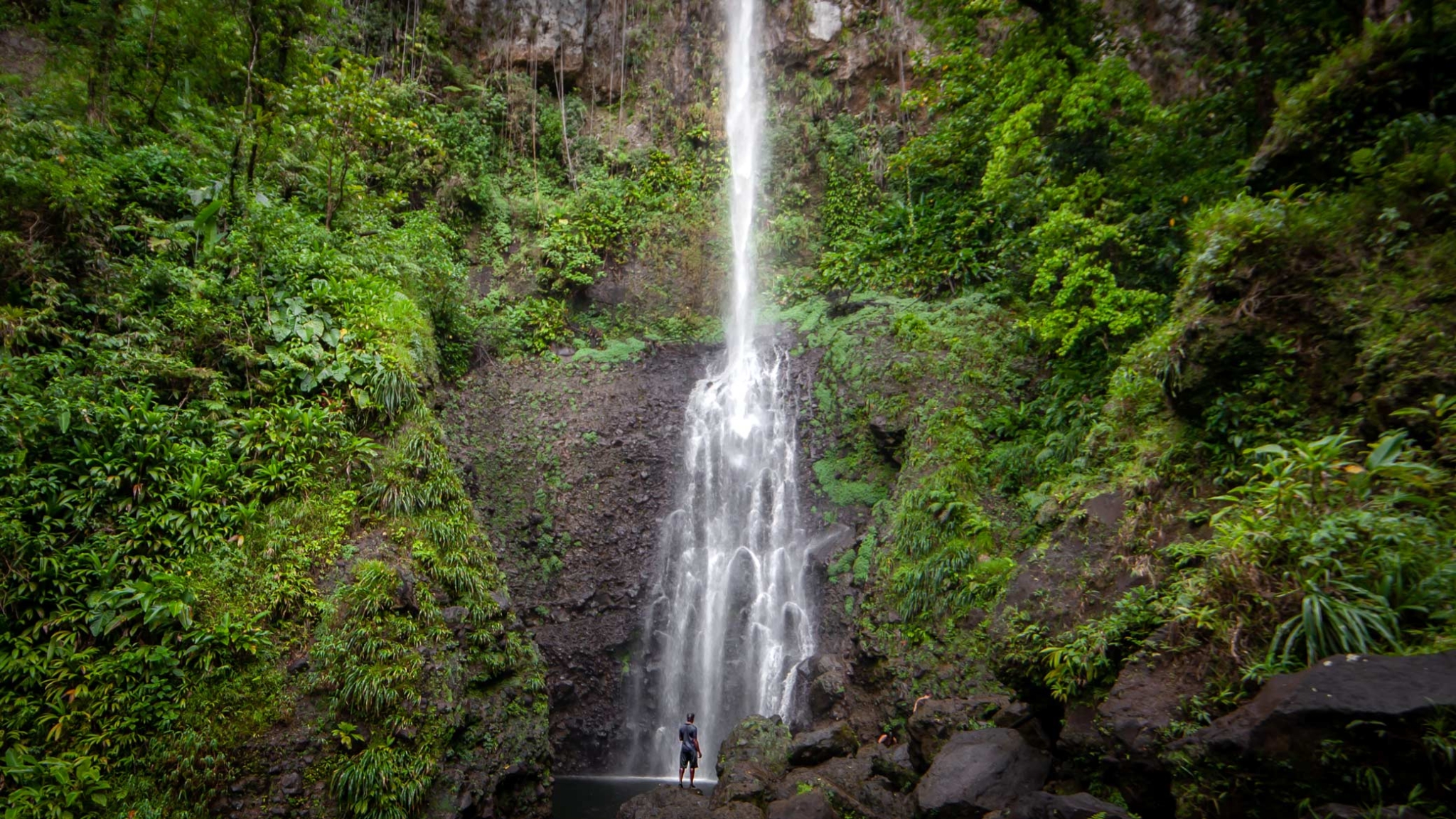 Waterfall crashes down with a man standing in front of the pool and the rainforest of Dominica on either side 