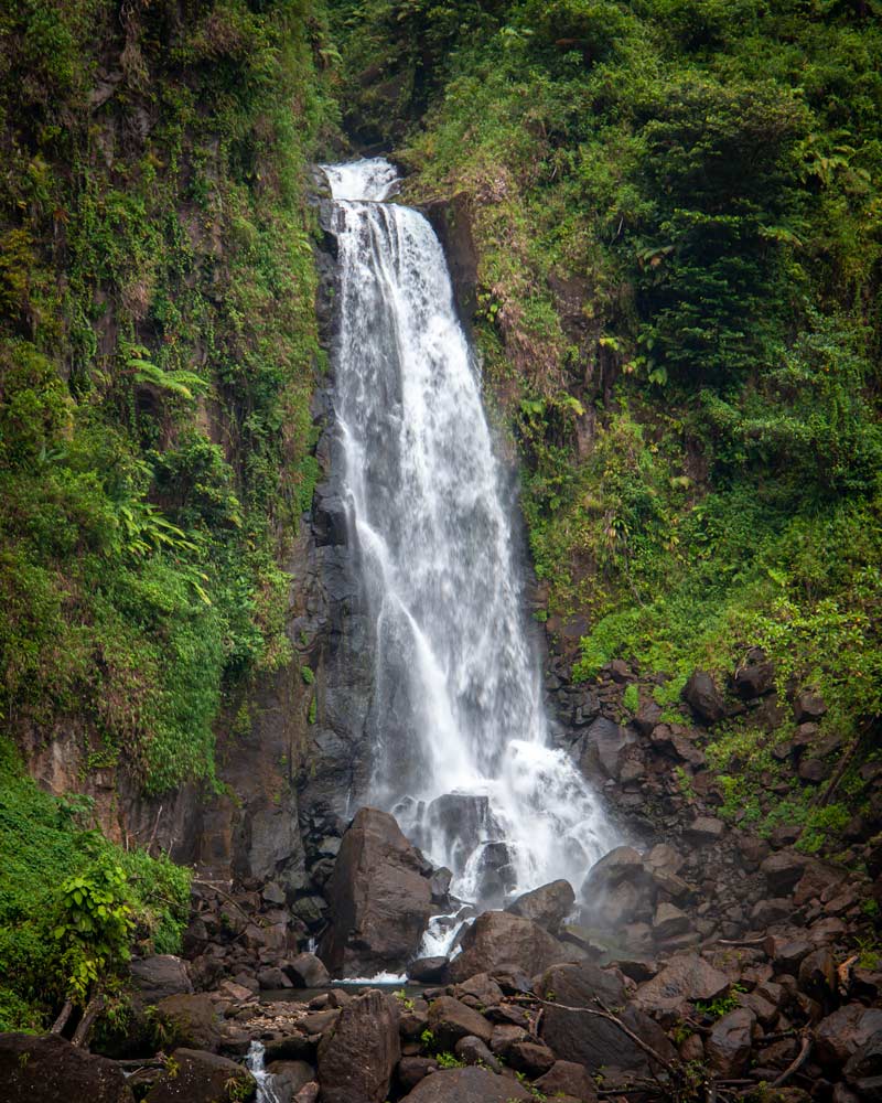 Trafalgar FallsWaterfall in Dominica