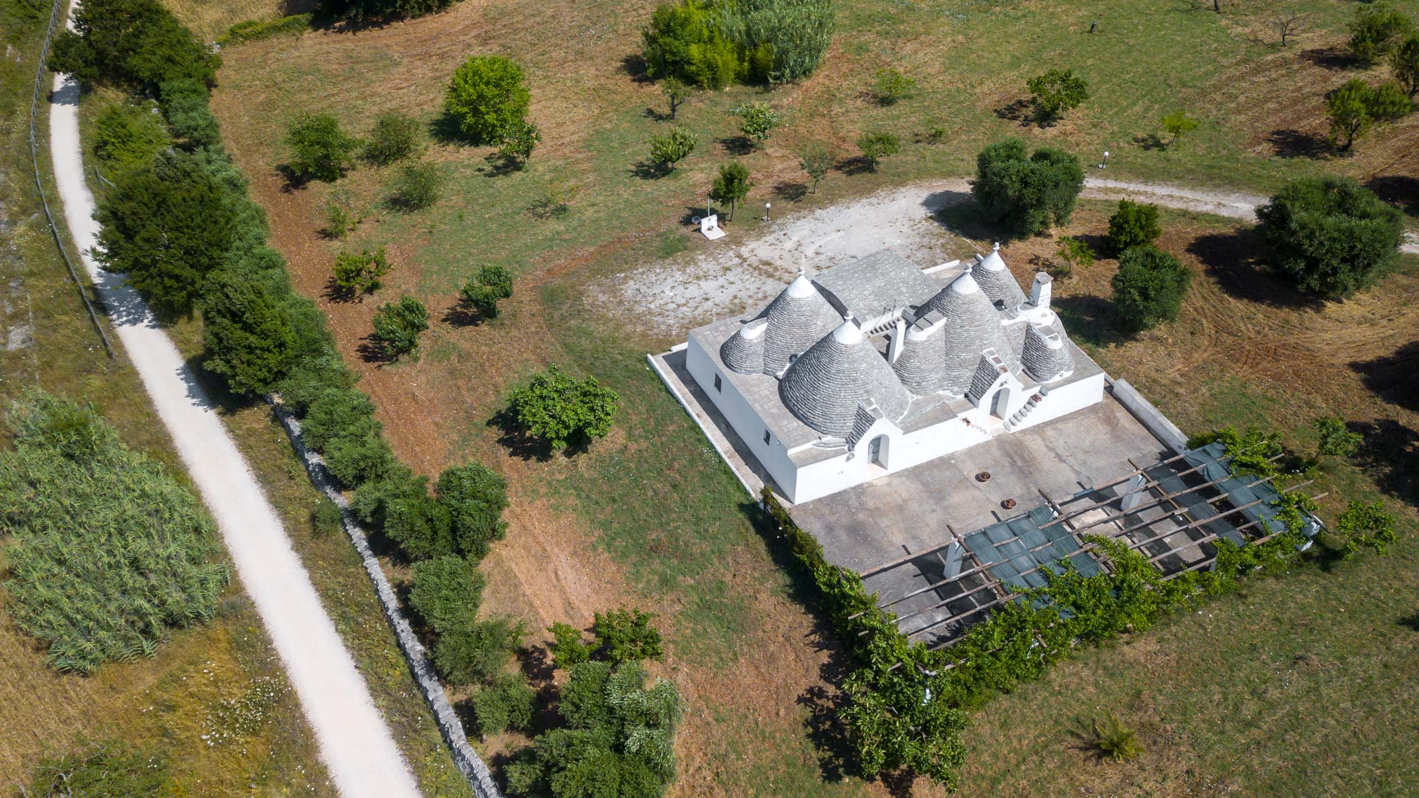 Cycle through the olives of Trullo of the Valle d'Itria