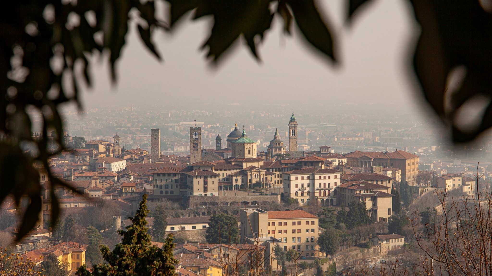 lombardy italy tourism The higher part of Bergamo as seen from afar at sunset, framed by a tree