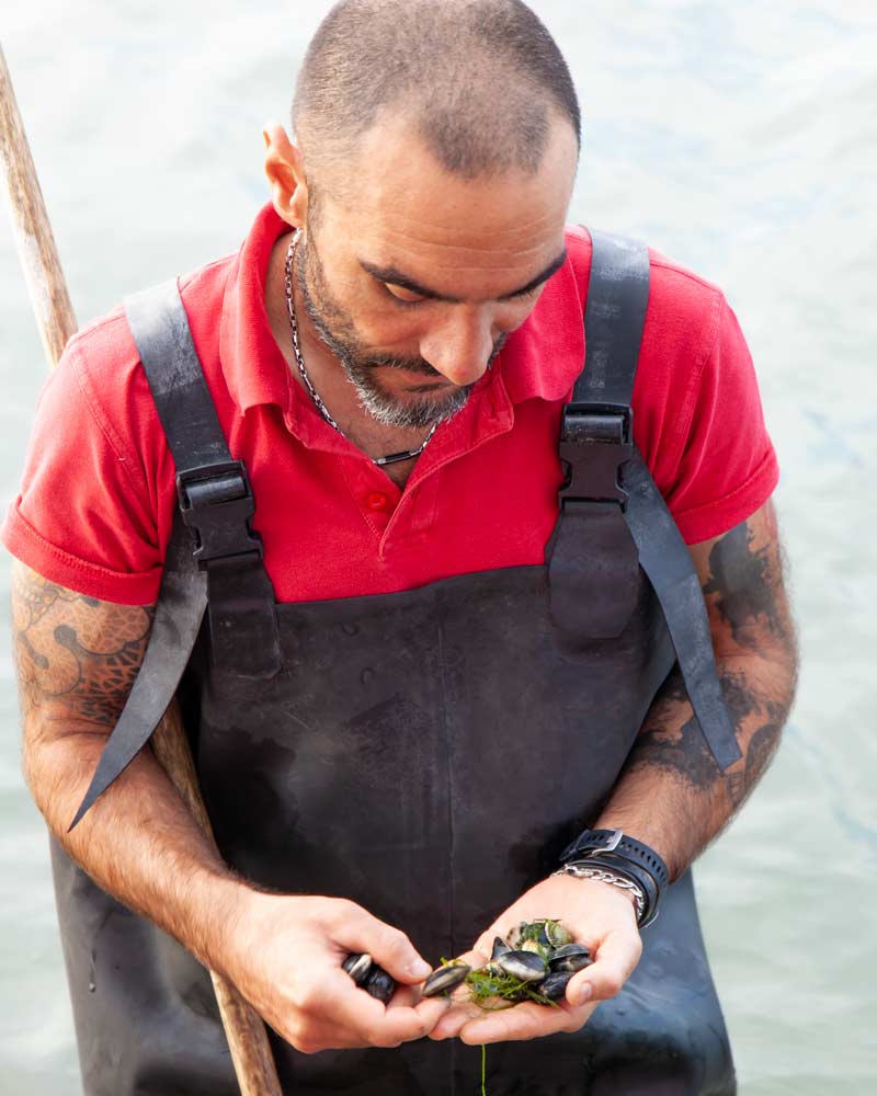 Traditional clam fishing in the Po Delta