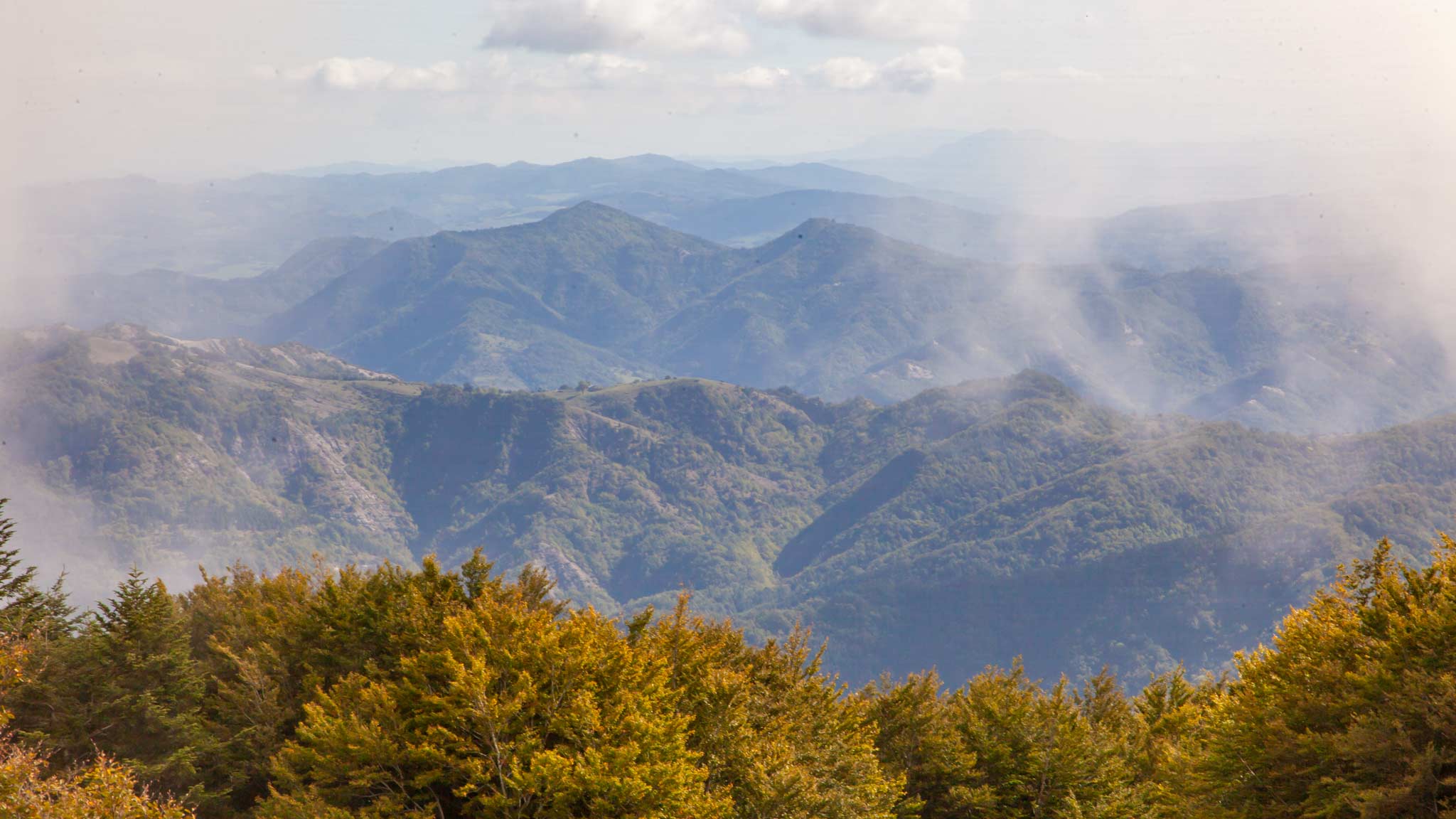 The National Park of the Forest with Clouds in Emilia Romagna