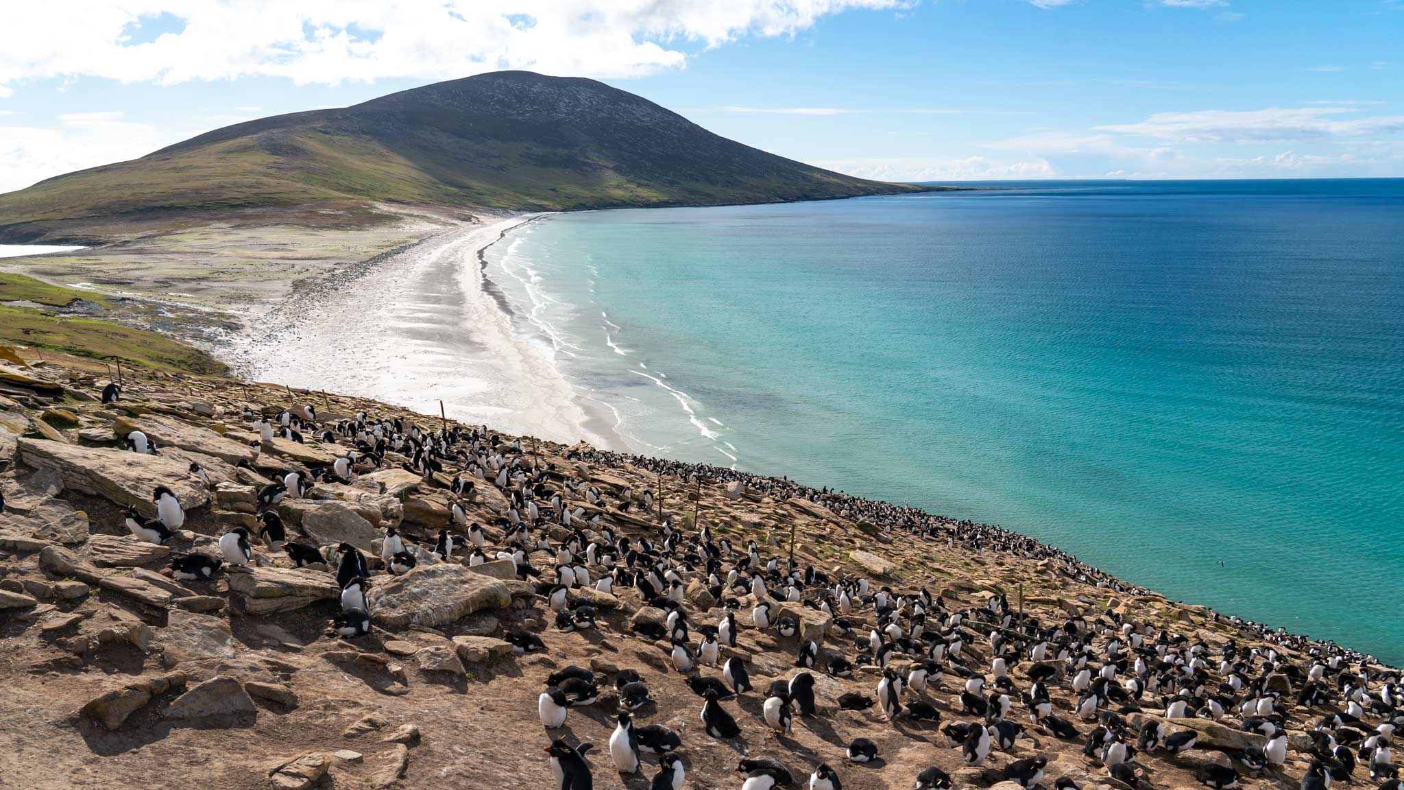 viator tours falkland islands