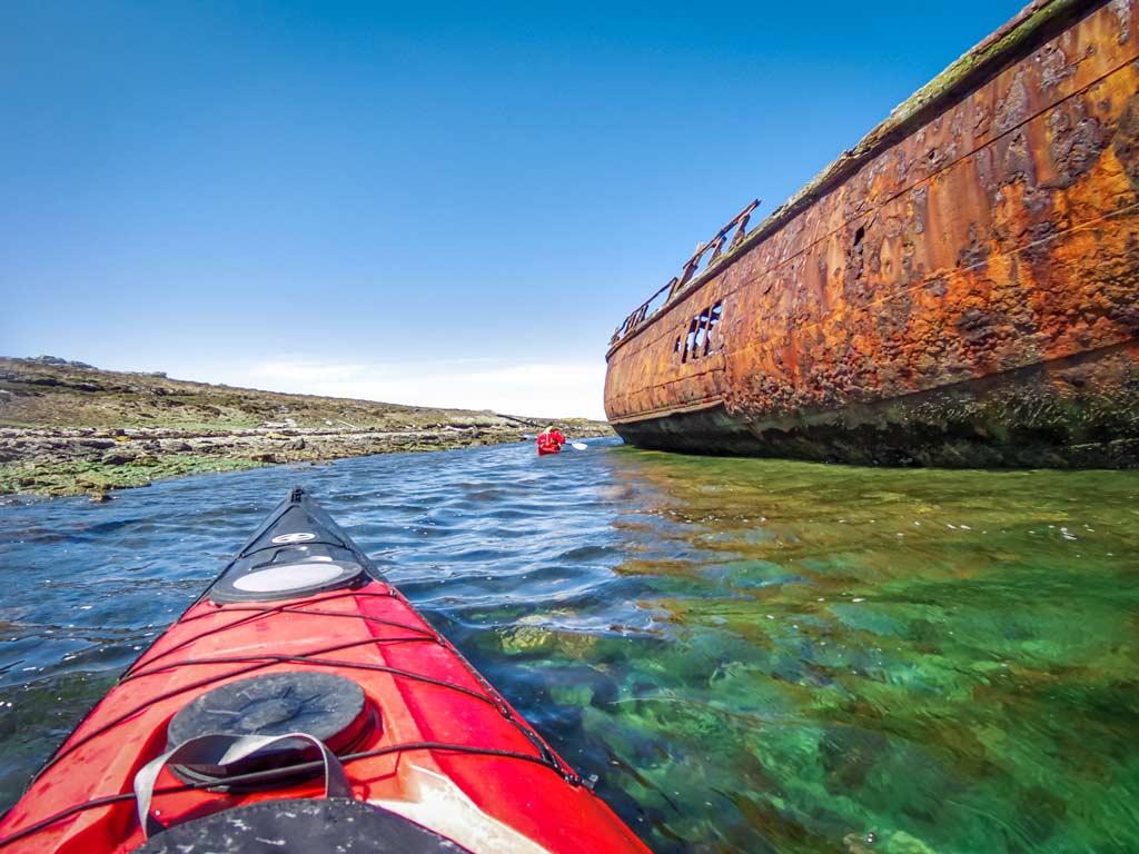 Kayak around the shipwrecks and wildlife of Stanley with Falklands Outdoors