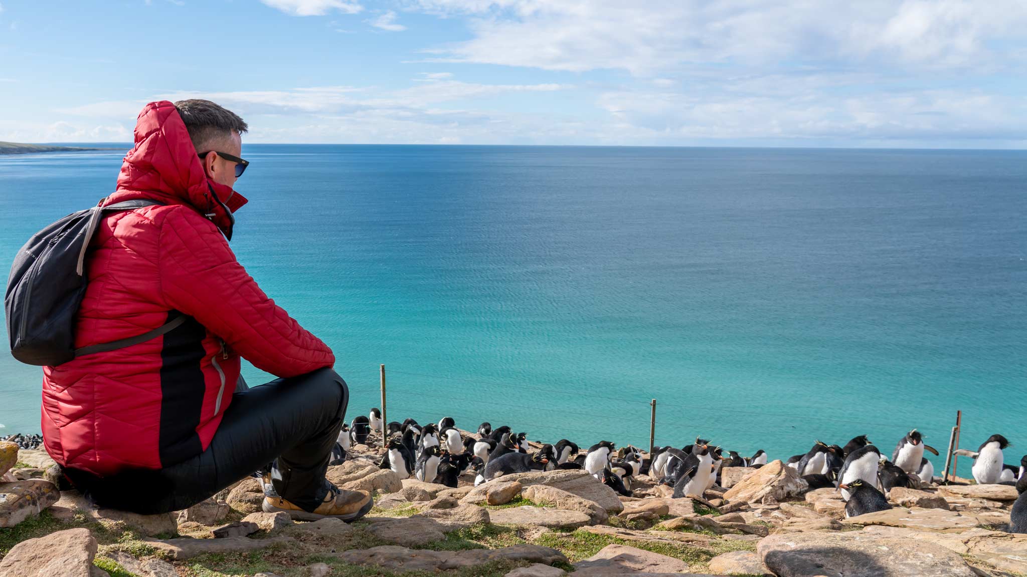 Dan is sat in a red coat to the left, with the clear blue waters in various hues beyond him. A group of rockhopped penguins are dotted on the rocks to the right. 