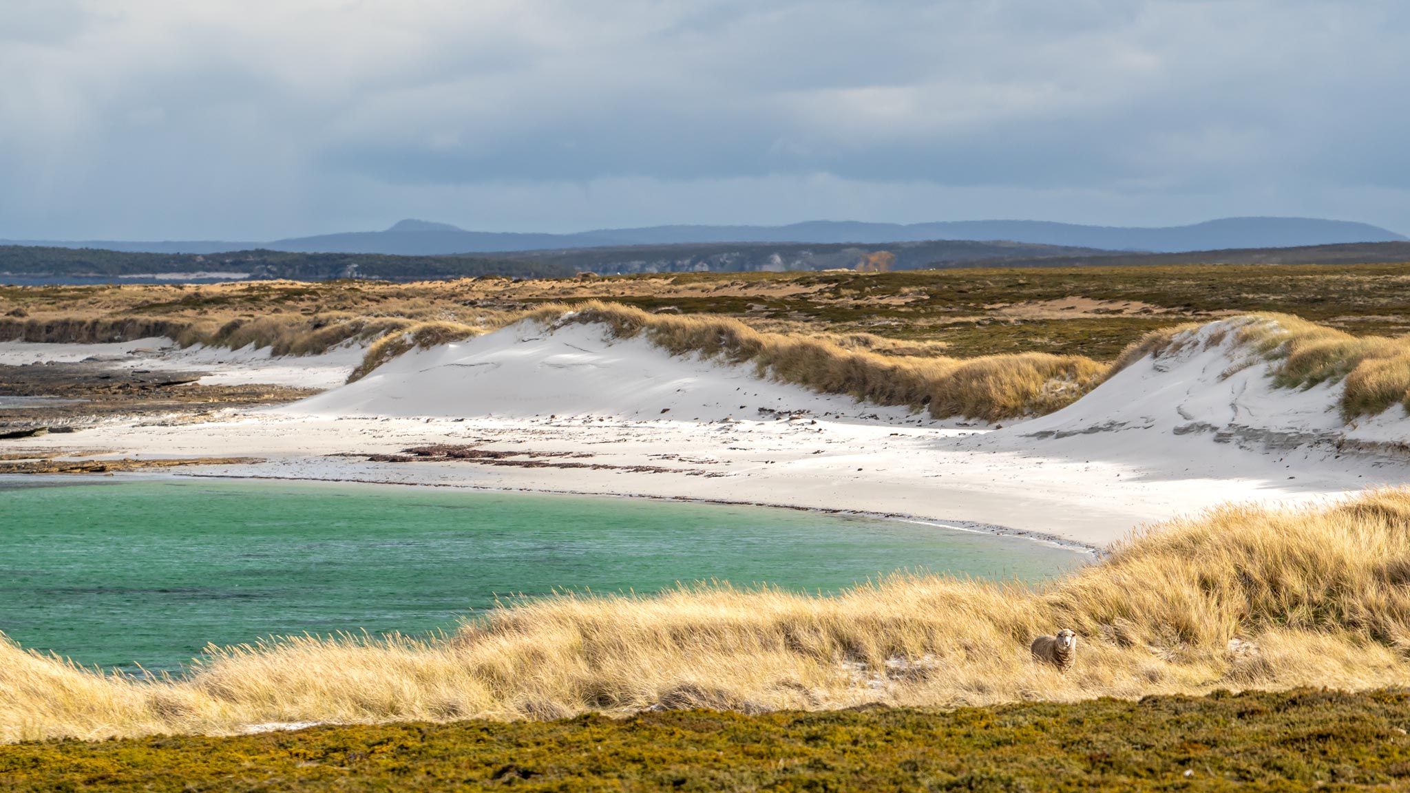 One of many untouched beaches on Weddell Island