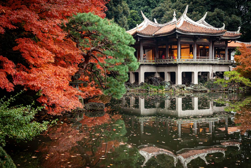 Ueno Park in autumn