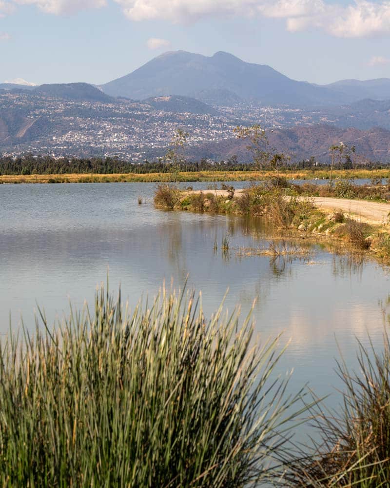 Wetlands in Mexico City