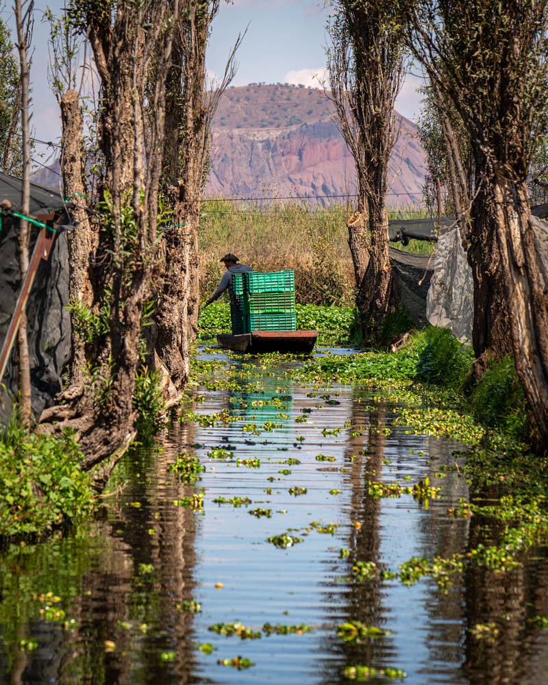 chinampas mexico city