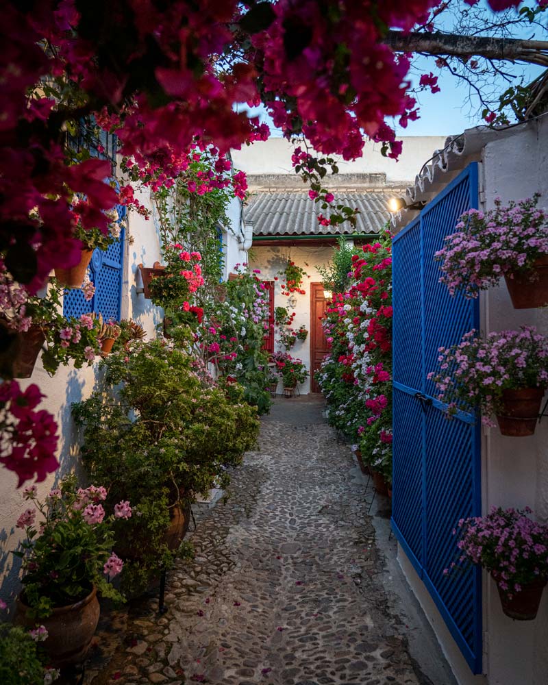 Cordoba Festival of the Patios