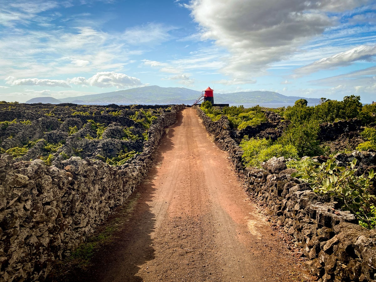 Pico's vineyards and currals