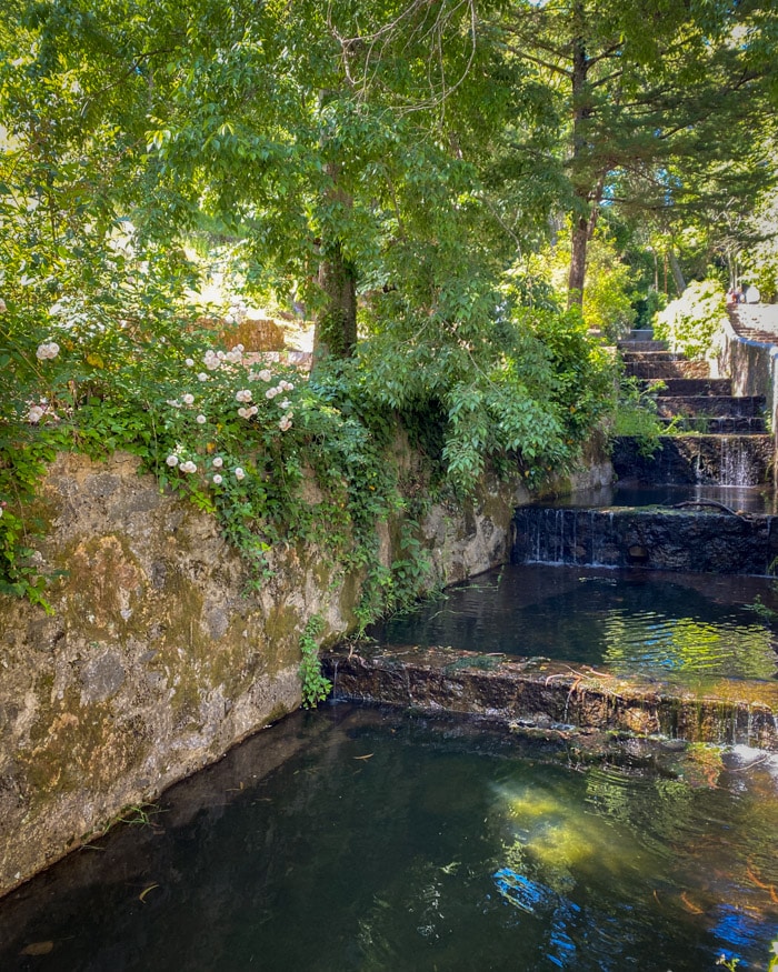 The thermal waters of Caldas de Monchique