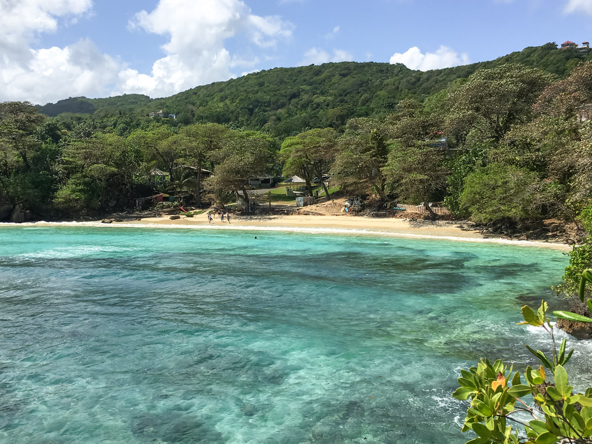 A beach in Jamaica backed by greenery