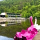Lake Thal in Graz is a fun place to take a family boat ride