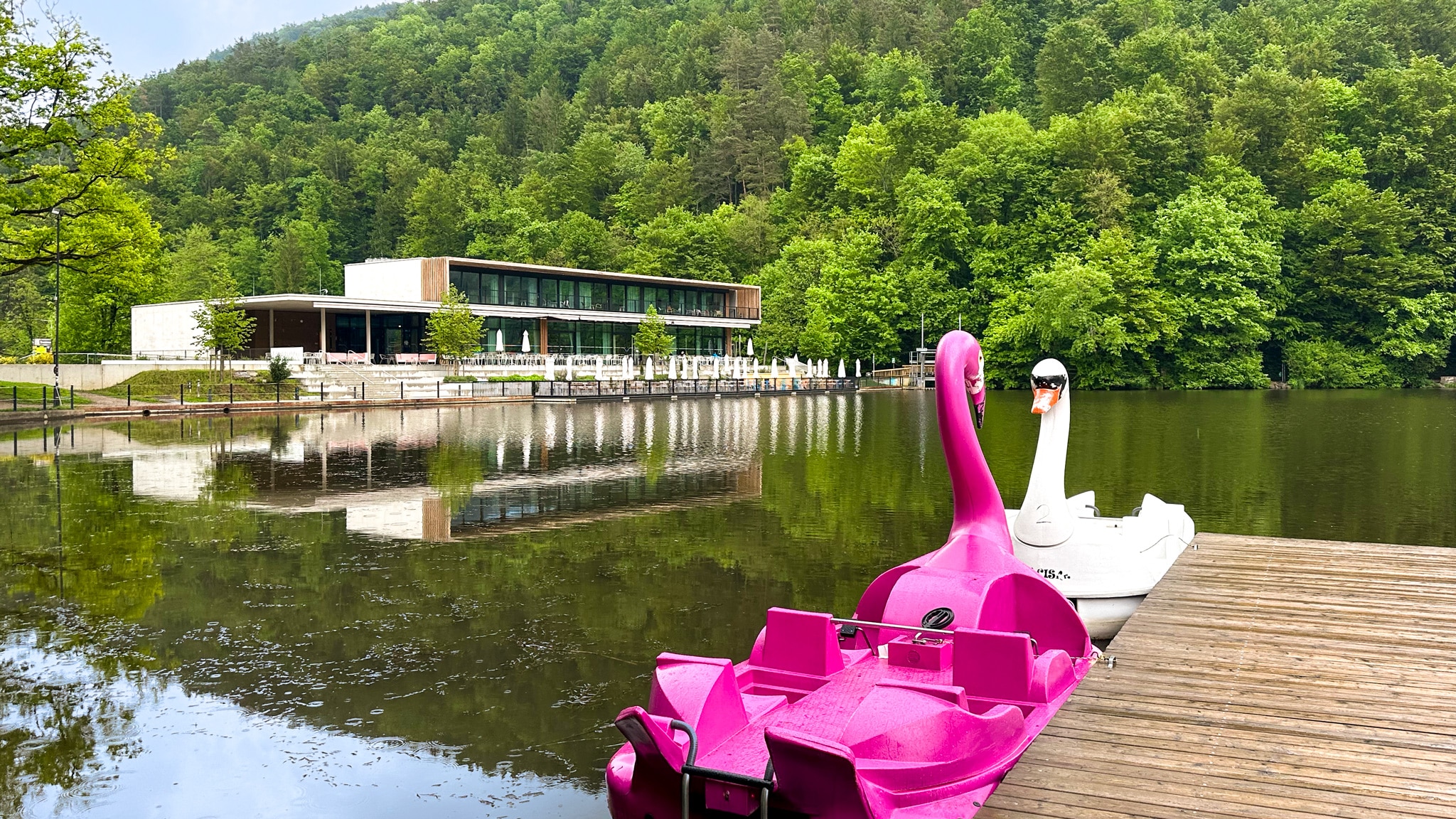 Lake Thal in Graz is a fun place to take a family boat ride