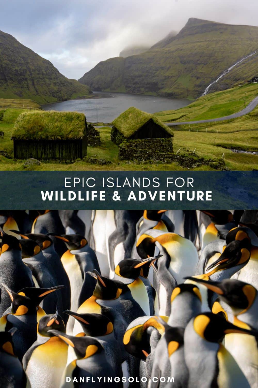 Pin it: Epic Island Escapes for Wildlife and Adventures
