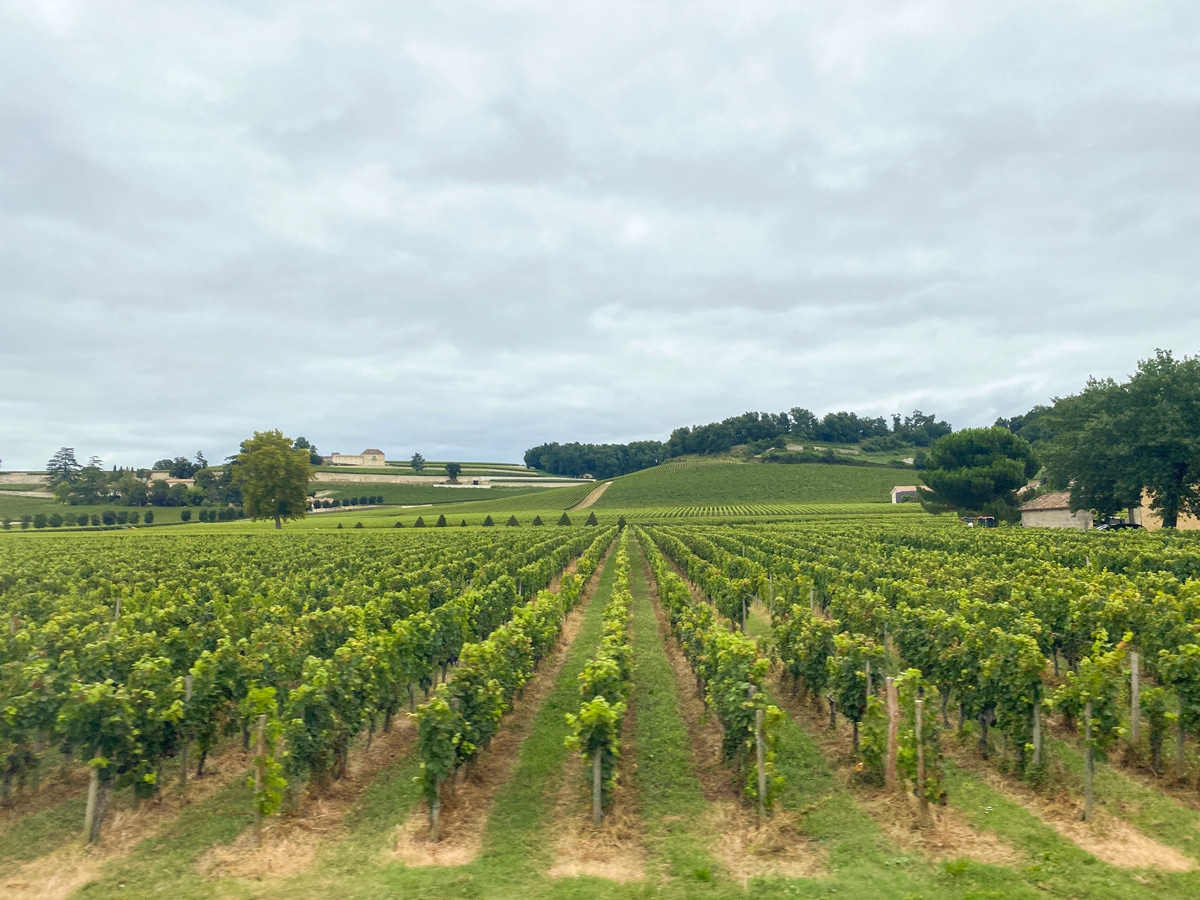 From the vines of Bordeaux to famous Champagne, wineries are a French constant