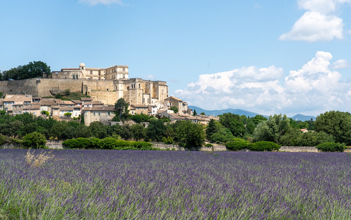 The medieval town of Grignan, France behind a field of blooming lavender