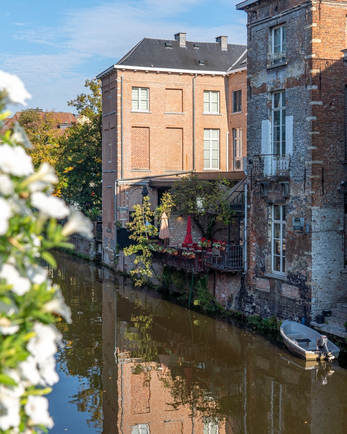 My favourite terrace at De Gouden Vis