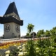 Graz's spring flowers